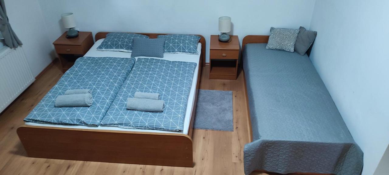 Apartments Vidos Dreznik Grad Екстер'єр фото