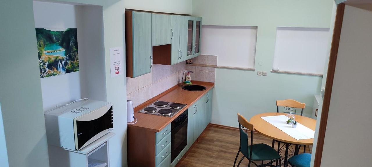 Apartments Vidos Dreznik Grad Екстер'єр фото