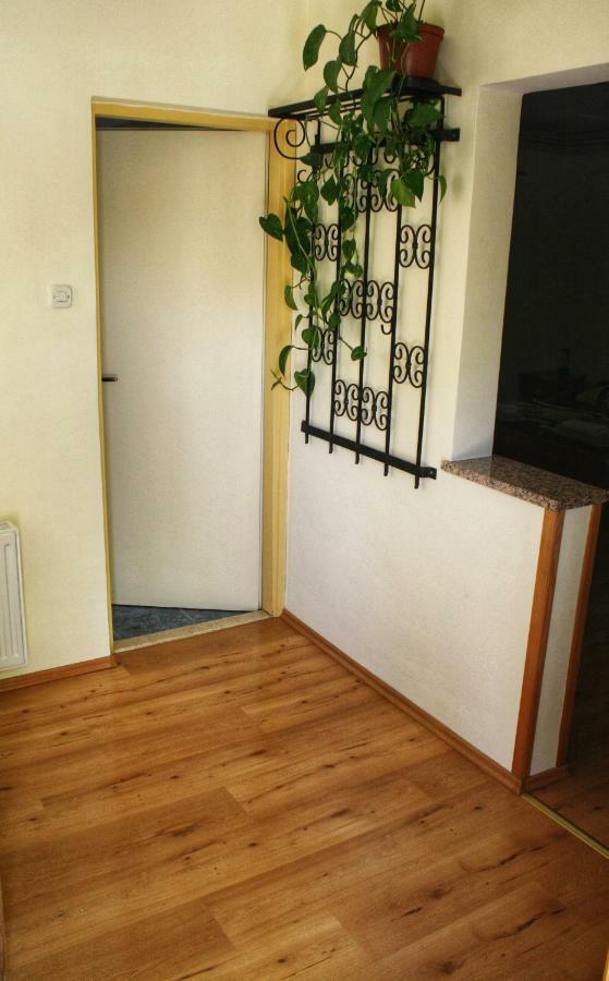 Apartments Vidos Dreznik Grad Екстер'єр фото