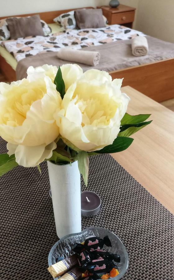 Apartments Vidos Dreznik Grad Екстер'єр фото